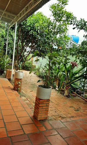 Xuất cảnh bán homestay đang kinh doanh tốt