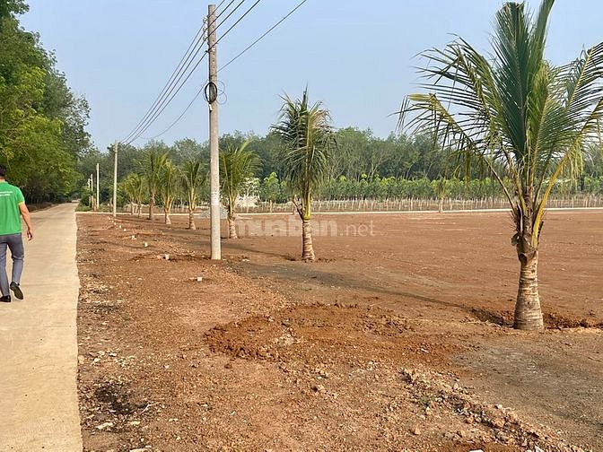 Cần Bán Lô Đất Sổ Đỏ Diện Tích 280m2. Tài Chính Chỉ Cần 350Tr