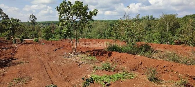 Cần bán lô đất giá đầu tư dễ phân lô tách sào, xa bảo bình, xuân Mỹ