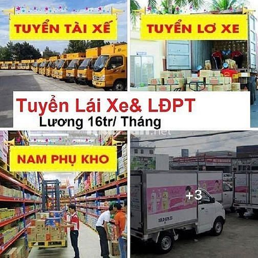 ĐĂK NÔNG>>Tuyển Tài Xế B2 trở lên, Lơ Xe, Phụ Kho 16tr/tháng