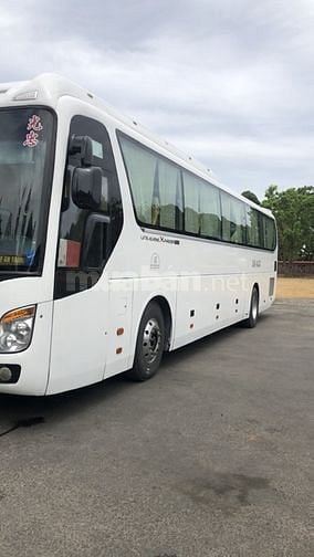 Xe 45c, xe limousin cao cấp, xe hoa đời mới