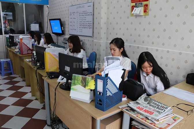 Tư vấn , dịch vụ Kết hôn và Ly hôn