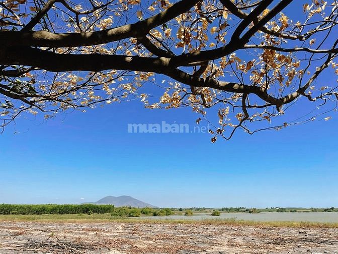 Bán 1,6ha View Hồ Núi Đất Cực đẹp - Cực Mát - Giá Cực êm chưa đầu tư