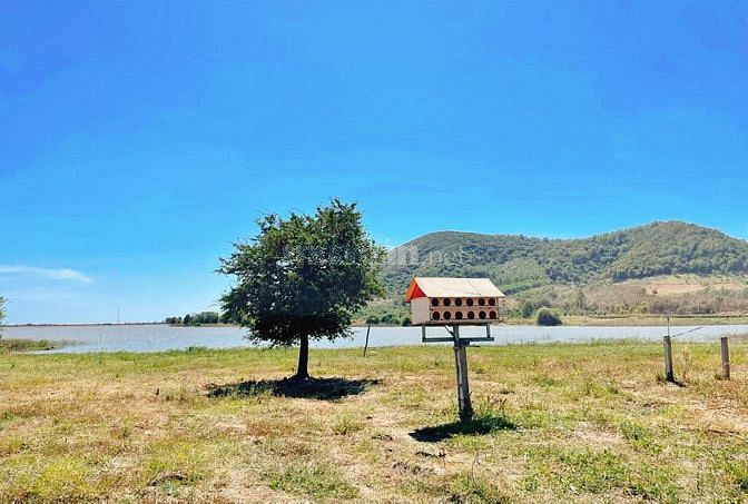 Bán 1,6ha View Hồ Núi Đất Cực đẹp - Cực Mát - Giá Cực êm chưa đầu tư