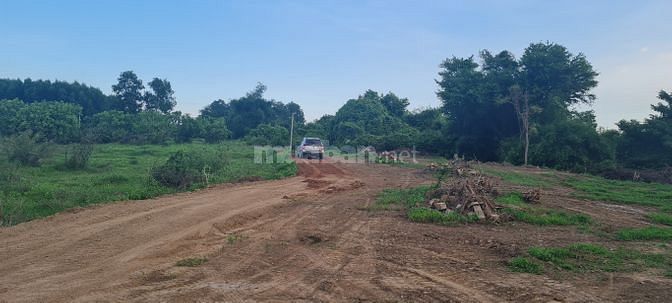 Bán đất nông nghiệp Hàm chính hàm thuận bắc cách phan thiết 10 km