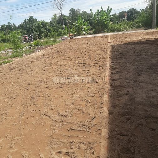 Chính chủ cần bán 2 nền thổ cư gần cty TBS tại Phú Hòa-An Giang