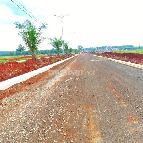 Bán đất đầu tư cơ hội sinh lời ngân hàng hổ trợ lên đến 50%
