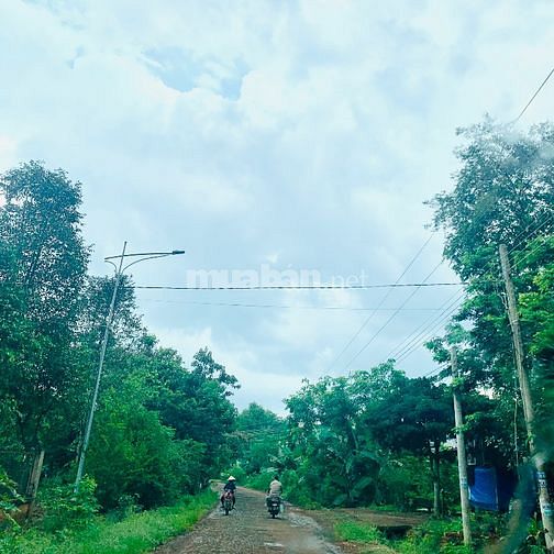 Cần bán 800m2 100m,thổ cư giá 560tr