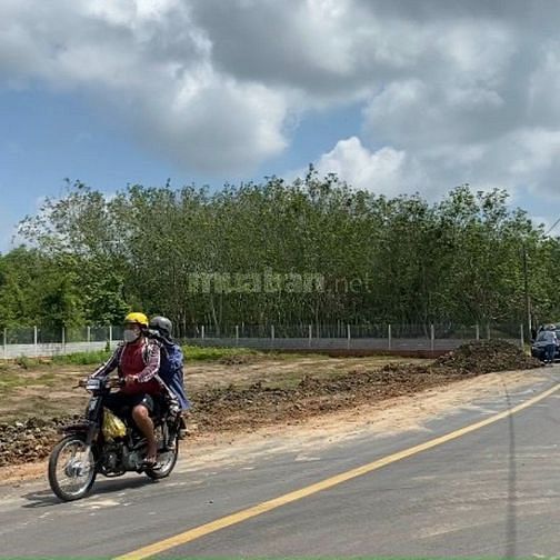 Chính chủ bán đất MT nhựa 230m gần chợ Cẩm An, Cẩm Giang, Gò Dầu