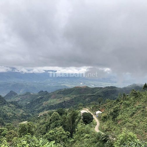 Bán đất thổ cư chính chủ - trung tâm du lịch suối giàng