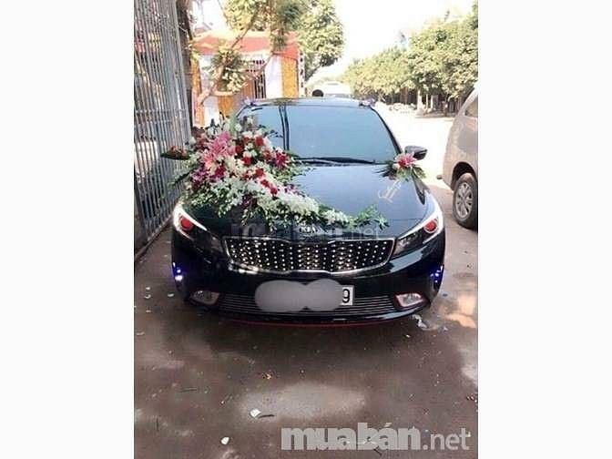 Cần thuê xác xe các loại từ 4c đến 7c từ phổ thông cho đến cao cấp