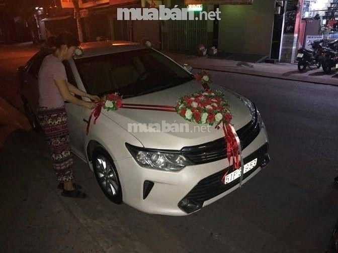 Cần thuê xác xe các loại từ 4c đến 7c từ phổ thông cho đến cao cấp