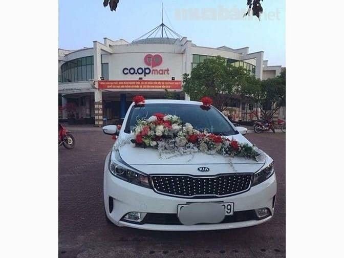 Cần thuê xác xe các loại từ 4c đến 7c từ phổ thông cho đến cao cấp