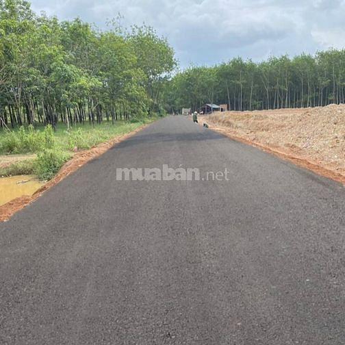 Đất mặt tiền đường 32m đồng phú bình phước