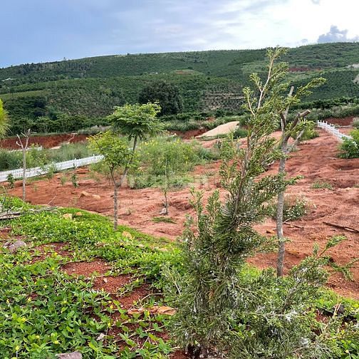 Cần bán gấp lô đất nghỉ dưỡng ven suối, 