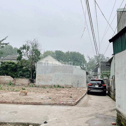 Bán đất thổ cư đầu tư Thanh Oai gần vành đai 4. lh 0973372425