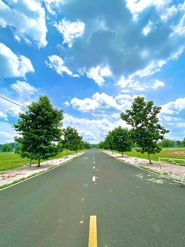 Cần bán đất TRUNG TÂM THÀNH PHỐ lấy tiền trả nợ ngân hàng