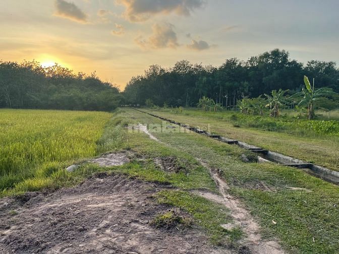 Đất nông nghiệp Thị xã Trảng Bàng