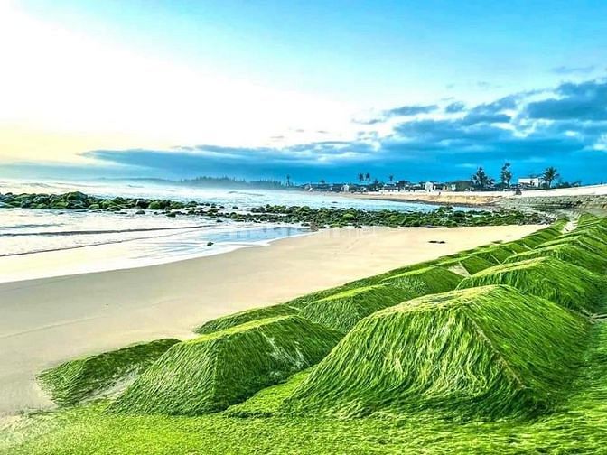 ĐẤT BIỂN BÌNH HẢI, LÔ DUY NHẤT 2 MẶT TIỀN VIEW BIỂN TRỰC DIỆN