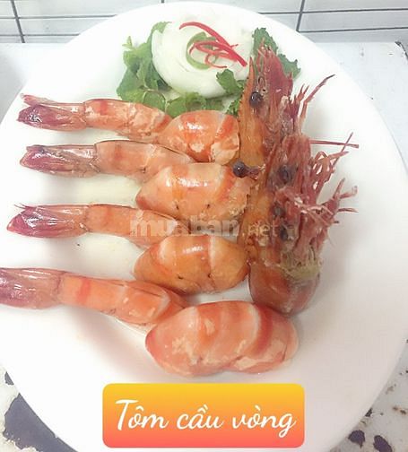 Đầu bếp chuyên alacater, cơm vp, hải sản, tiệc, nhậu sân vườn