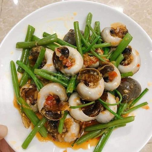 Đầu bếp chuyên alacater, cơm vp, hải sản, tiệc, nhậu sân vườn