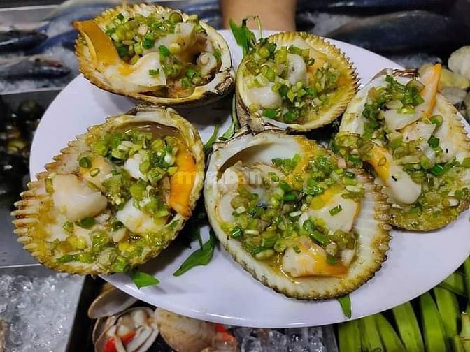 Đầu bếp chuyên alacater, cơm vp, hải sản, tiệc, nhậu sân vườn
