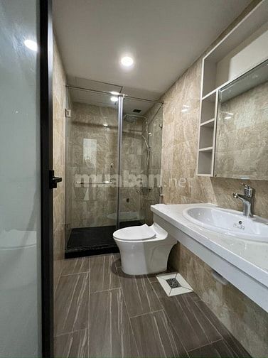 Nhà Nguyễn Khánh Toàn,Quan Hoa,Cầu Giấy;DT 45Mx9T Giá 9.9 Tỷ