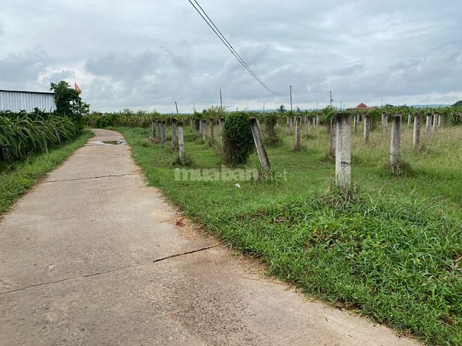 Bán đất 2 mặt tiền cách QL 28 450m xã Hàm Chính, Hàm Thuận Bắc.