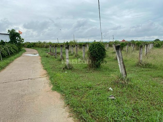 Bán đất 2 mặt tiền cách QL 28 450m xã Hàm Chính, Hàm Thuận Bắc.