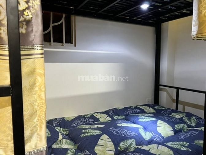 Homestay cao cấp trung tâm Q1 chỉ 1,6 triệu/ giường đã bao gồm chi phí