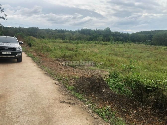 CẦN BÁN GẤP LÔ ĐẤT ĐẸP BÌNH PHƯỚC CHÍNH CHỦ