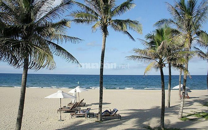 Nóng Nóng, Bán đất mặt tiền Huỳnh Thúc Kháng, SHR, View Biển