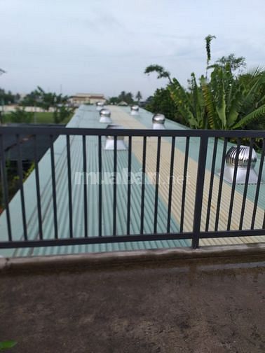 Cần Bán Đất Vị Trí Đẹp Tại Hòa Thành Tỉnh Tây Ninh