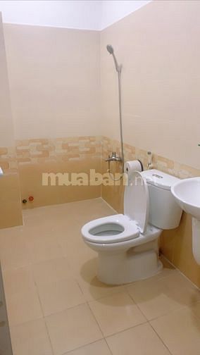 Cho thuê phòng đường số 3 Bông Sao, Phường 5, Quận 8