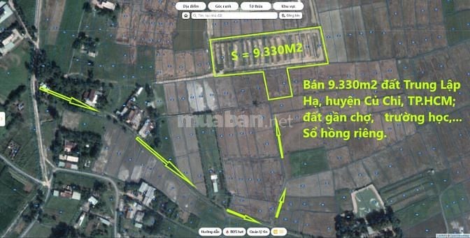 Bán 9.330 m2 đất xã Trung Lập Hạ, huyện Củ Chi; gần chợ, trường học.