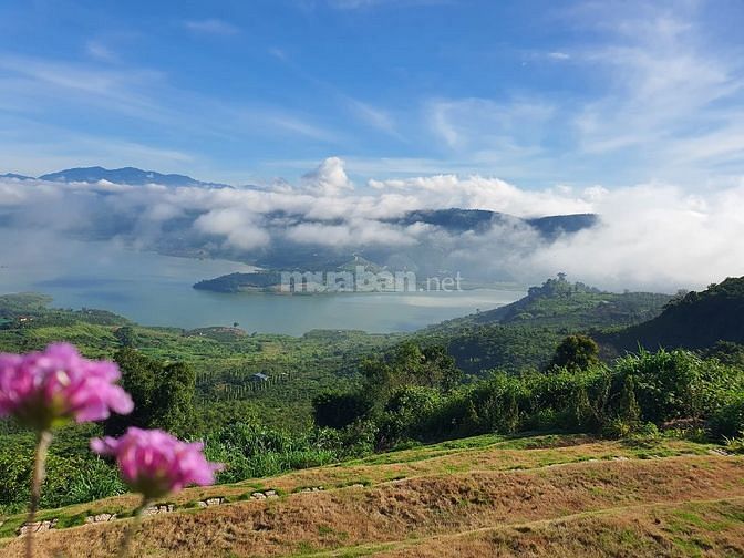 Bỏ phố về rừng núi,săn mây.DT 1,2 sào chốt 1,8 tỷ SHR.Cách chợ 4km.