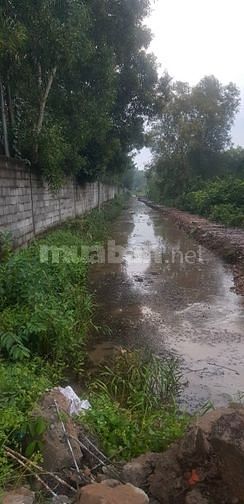 Cho thuê lâu dài 12.000m2 đất Măt tiền Võ Văn Bích, Bình Mỹ, Củ Chi