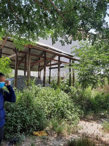 Bán đất MT Tôn Đản, Cẩm Lệ, 90m2,tổng 1ty3(50%) 