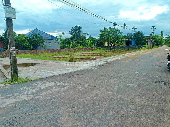 Bán lô đất mặt đường nhựa 6-7m ở Quang Hưng- An Lão- Hải Phòng