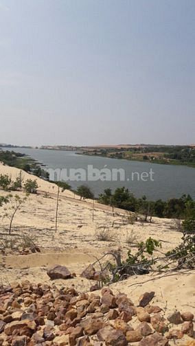CHỦ CẦN BÁN LÔ ĐẤT XÃ HÒA THẮNG , HUYỆN BẮC BÌNH , TỈNH BÌNH THUẬN 