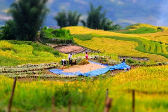 Đón sóng quy hoạch Sapa-Y Tý mảnh đất trục chính cần bán gấp