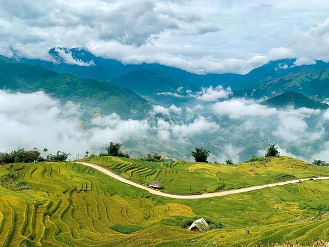 Đón sóng quy hoạch Sapa-Y Tý mảnh đất trục chính cần bán gấp