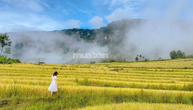 SIÊU ĐÁT NỀN GIÁ RẺ ĐẸP CƠ HỘI ĐÀU TƯ SAPA 2.0