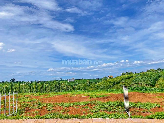 Đất mặt tiền đường Lạc Long Quân Bảo lộc view săn Mây ảnh thật 100%