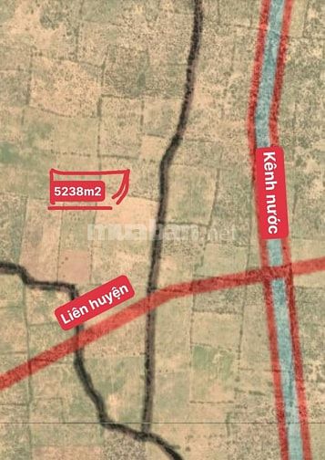 Hơn 5000m2 đất nông nghiệp gần đường liên huyện và kênh nước