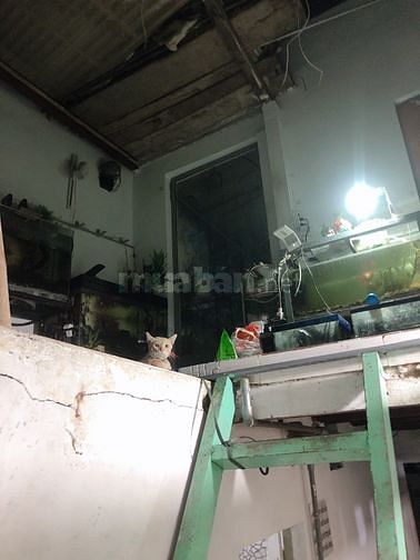Chính chủ bán nhà: 243/32/26 Hoàng Diệu, Phường 4, Quận 4, Tp. HCM