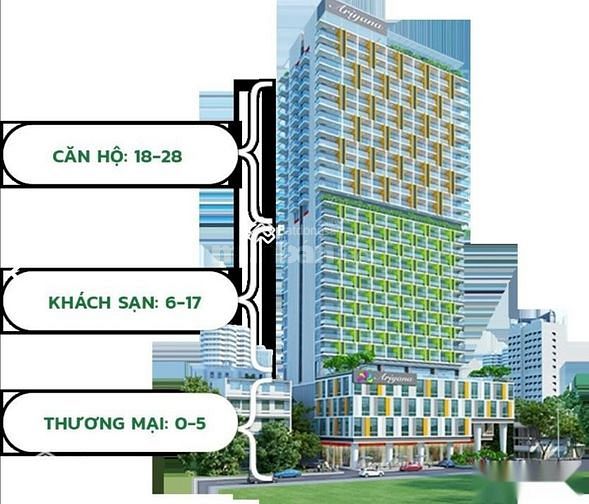Sang nhượng lại căn hộ du lịch Ariyana Condotel 50m2 LS30% dthu 1thang