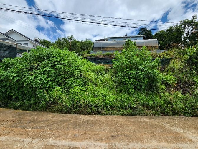 Bán lô đất 250 m² hai mặt tiền cách chợ Đà Lạt 2,5km giá 11 tỷ