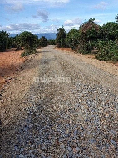 Chủ ngộp bán gấp 2700m2 đất, đường sỏi gần tới đất, cách LH 100m