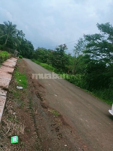 Bán khu đất ở ấp 5, xã tân hiệp, huyện hớn quản, bình Phước 